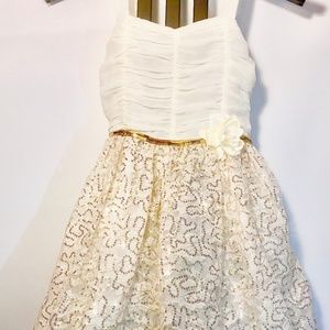 Beige and Gold Sequence Dress